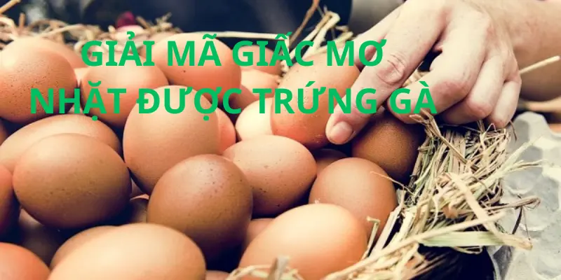 Mơ nhặt được trứng gà